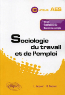 Sociologie du travail et de l'emploi