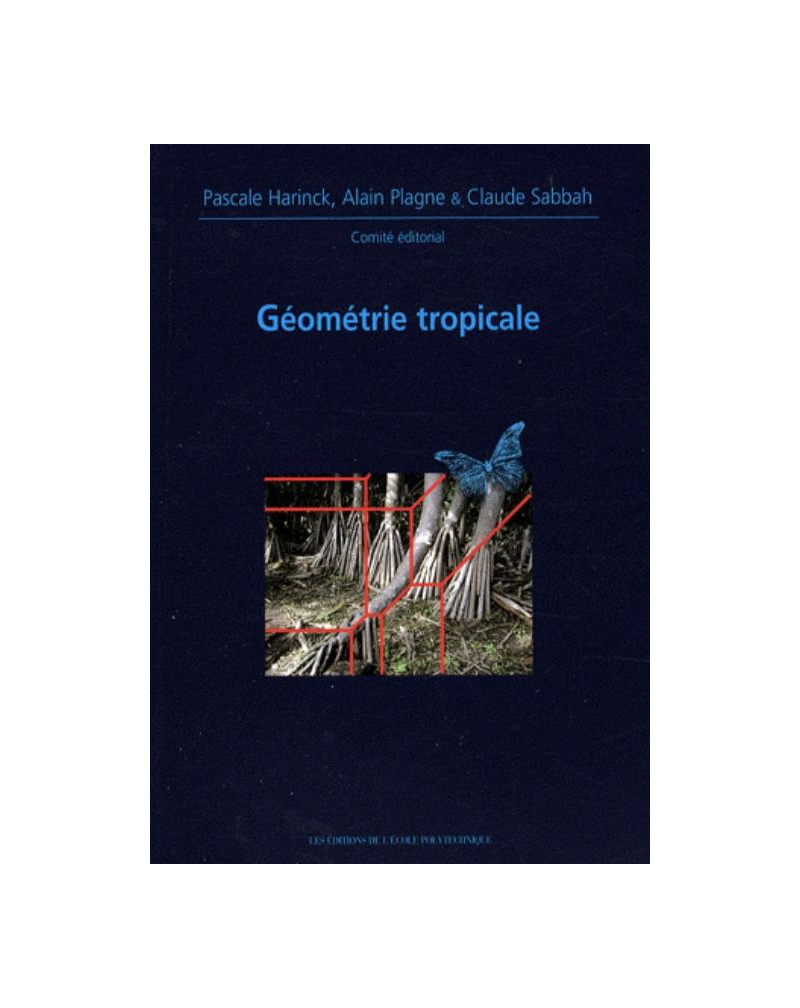 Géometrie tropicale. Journées Mathematiques X-UPS 2008