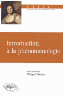 Introduction à la phénoménologie