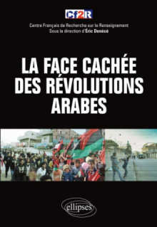 La face cachée des 'révolutions arabes'