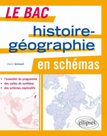 Le bac histoire-géographie en schémas