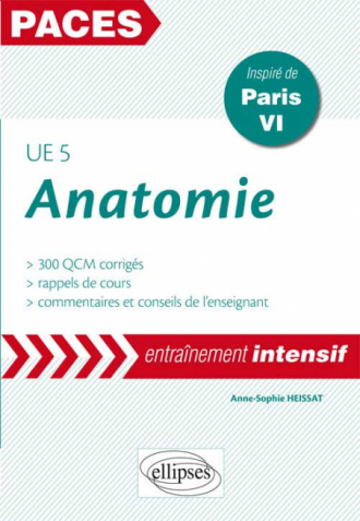 UE5 - Anatomie