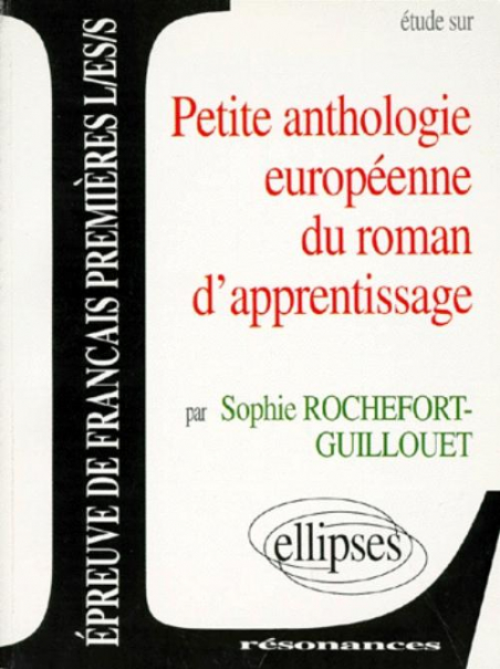 Petite Anthologie Europeenne Du Roman D Apprentissage
