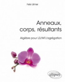 Anneaux, corps, résultants - Algèbre pour L3/M1/agrégation