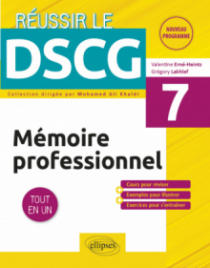 UE7 - Mémoire professionnel