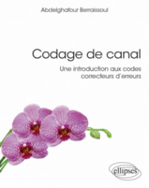 Codage de canal : une introduction aux codes correcteurs d'erreurs