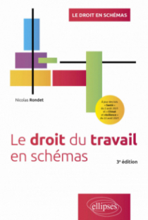 Le droit du travail en schémas - 3e édition