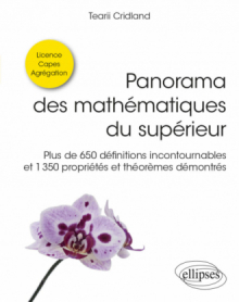 Panorama des mathématiques du supérieur - Plus de 650 définitions incontournables et 1350 propriétés et théorèmes démontrés