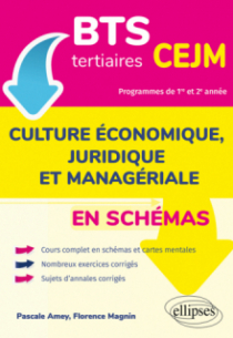 BTS tertiaires - CEJM en schémas - Culture économique, juridique et managériale