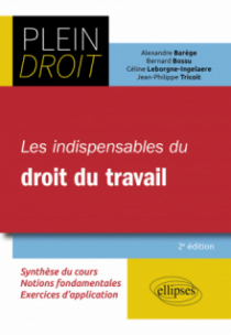 Les indispensables du droit du travail - 2e édition