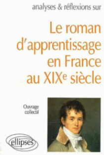 roman d'apprentissage en France XIXe siècle (Le)