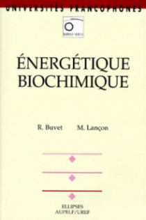 Énergétique biochimique