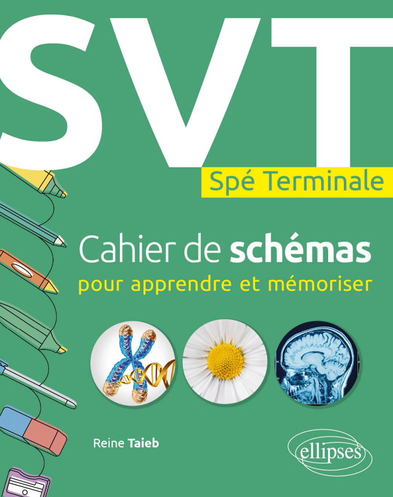 SVT Spé Tle - Cahier de schémas pour apprendre et mémoriser